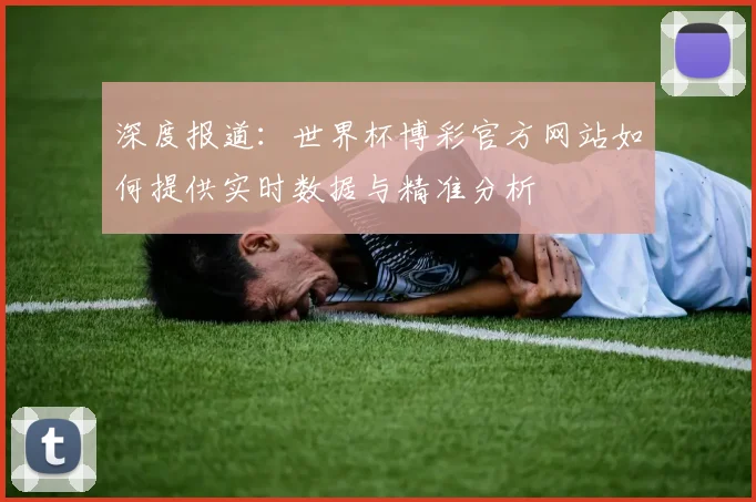 深度报道：世界杯博彩官方网站如何提供实时数据与精准分析