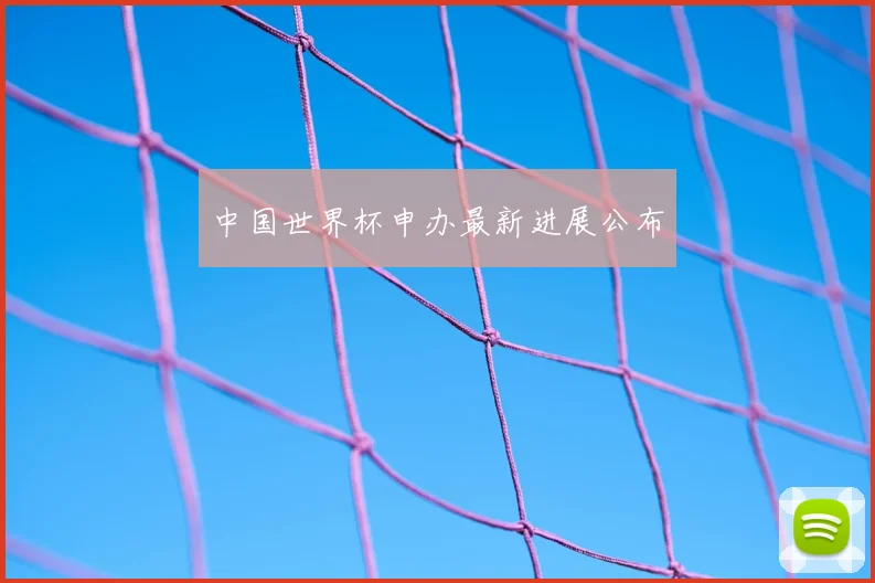 中国世界杯申办最新进展公布