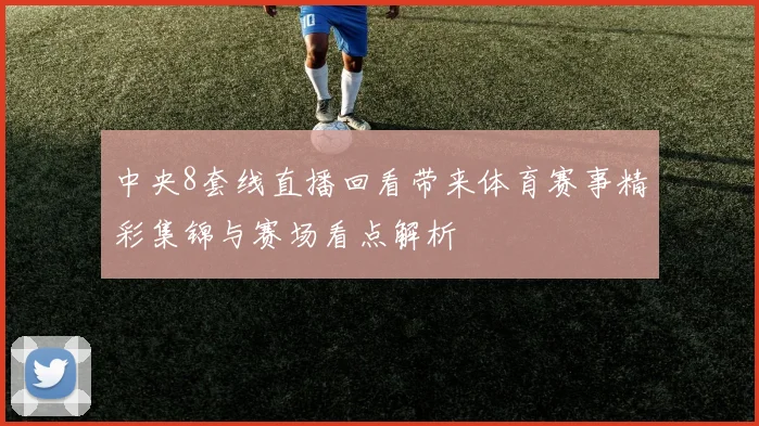 中央8套线直播回看带来体育赛事精彩集锦与赛场看点解析