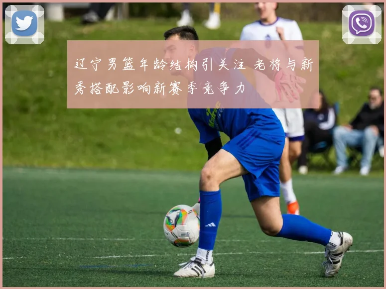 辽宁男篮年龄结构引关注 老将与新秀搭配影响新赛季竞争力