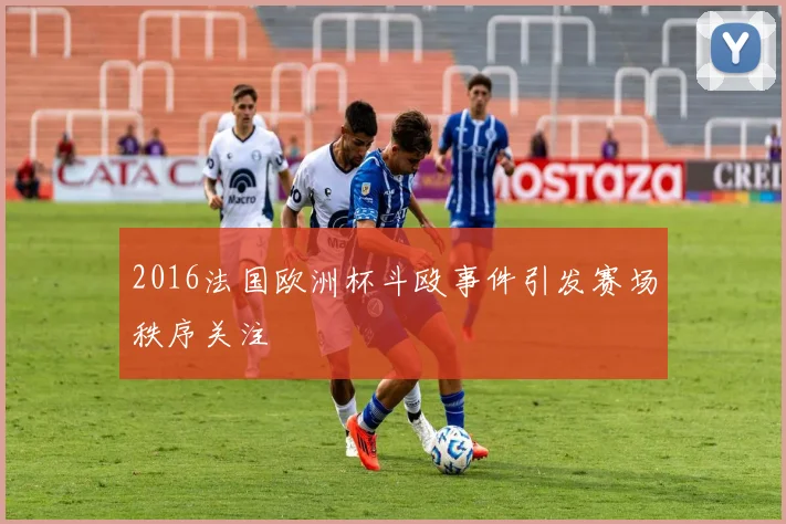 2016法国欧洲杯斗殴事件引发赛场秩序关注