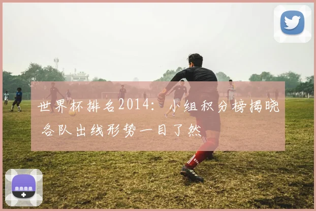 世界杯排名2014：小组积分榜揭晓 各队出线形势一目了然