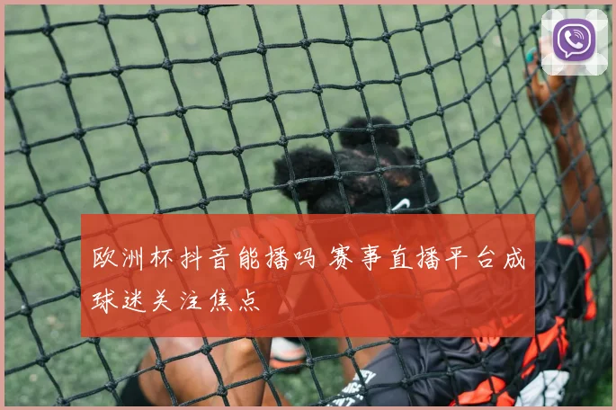 欧洲杯抖音能播吗 赛事直播平台成球迷关注焦点