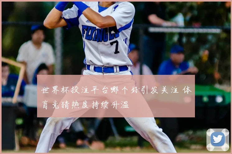 世界杯投注平台哪个好引发关注 体育竞猜热度持续升温