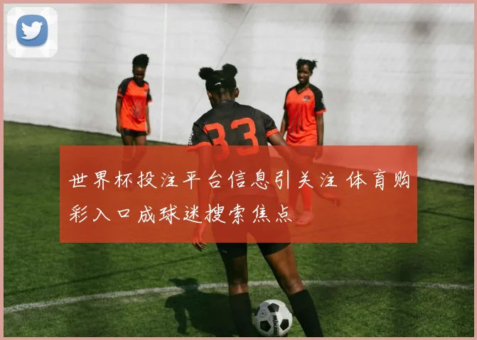 世界杯投注平台信息引关注 体育购彩入口成球迷搜索焦点
