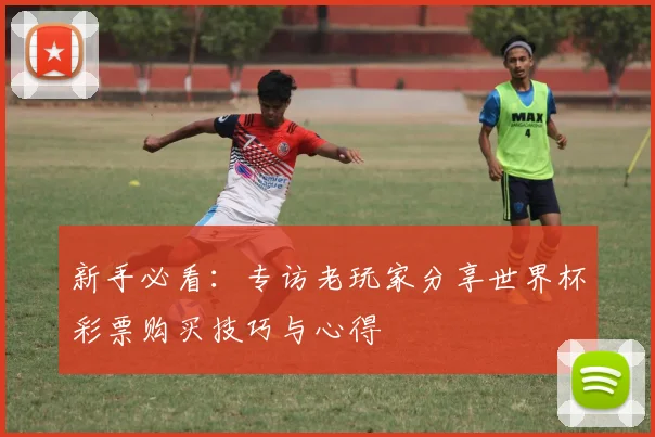 新手必看：专访老玩家分享世界杯彩票购买技巧与心得