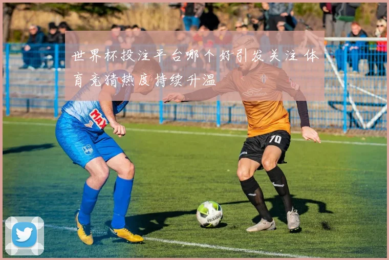 世界杯投注平台哪个好引发关注 体育竞猜热度持续升温
